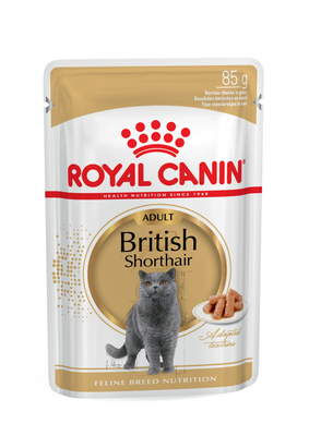 Royal Canin British Shorthair Adult in Gravy, 85г 20320010 фото