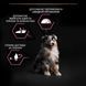 Pro Plan Puppy Medium Sensitive Skin Salmon, 12кг 12038 фото 2