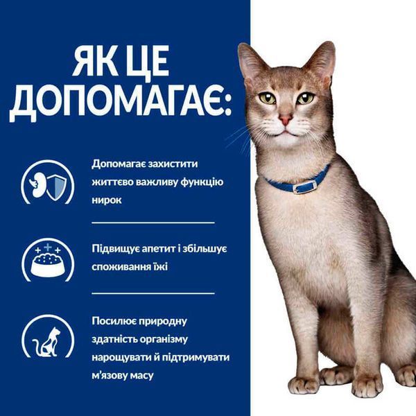Hill's Wet PD Feline K/D Beef - Захворювання нирок, ниркова недостатність, 85г 605666 фото