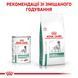 Royal Canin Diabetic Dog Cans, 410г 4015004 фото 4