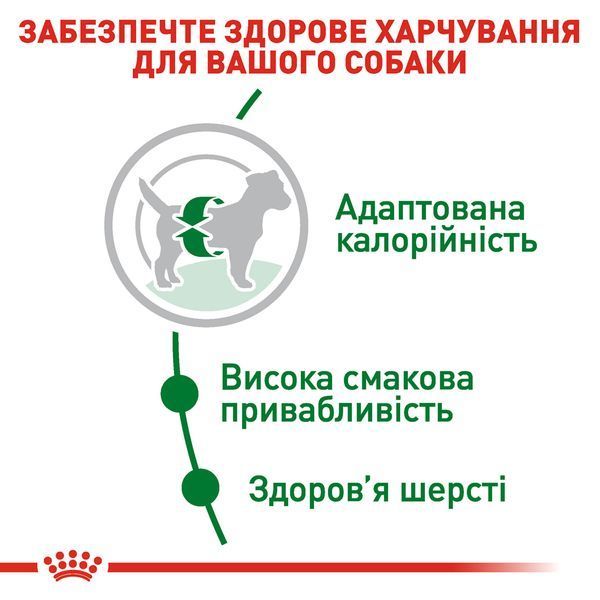 Royal Canin Mini Adult на Вагу 30010080_1 фото