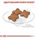 Royal Canin Mini Adult на Вагу 30010080_1 фото 4