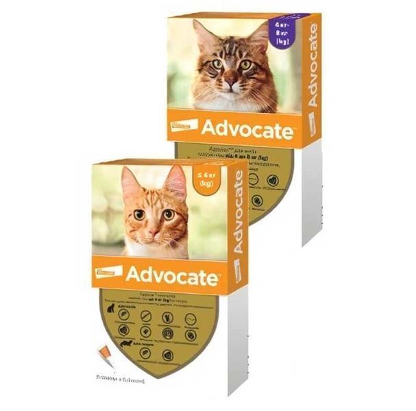 Дві упаковки крапель Advocate Cat Spot-On для котів та тхорів вагою до 4 кг