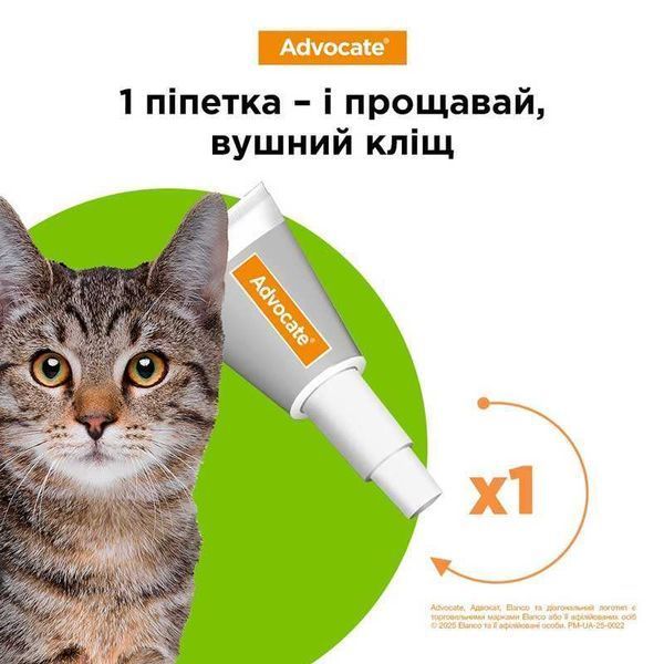Піпетка Advocate Cat Spot-On та кліщ, що символізує захист від паразитів