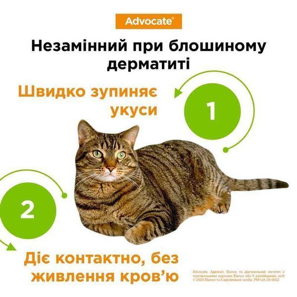 Краплі Advocate Cat Spot-On, що допомагають при дерматиті, спричиненому паразитами