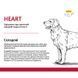 Josera Help VD Heart Dog, 900г 50011644 фото 2