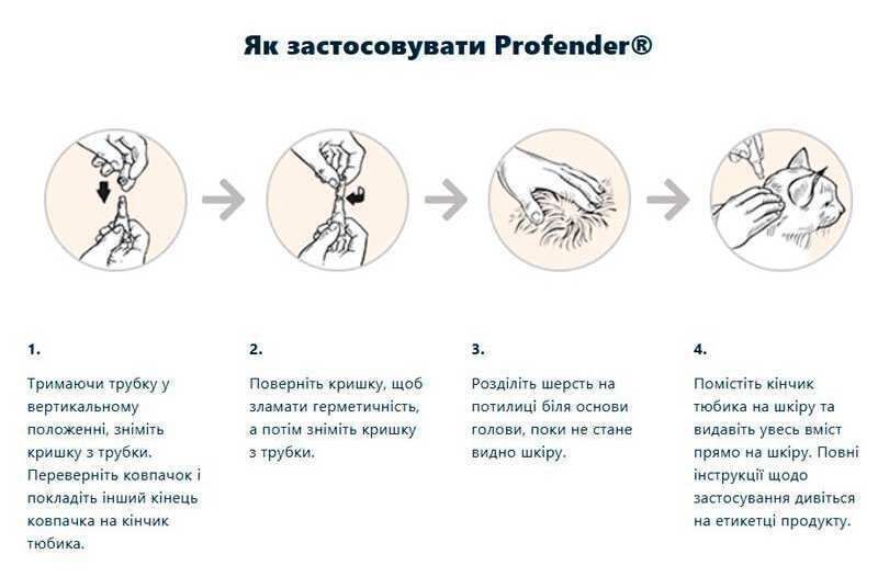 Інструкція із застосування крапель Profender Cat Spot-On на холку кота