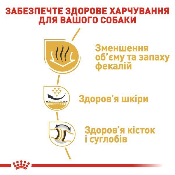 Royal Canin Bulldog Adult, 12кг 2590120 фото Royal Canin Bulldog Adult, 12кг 2590120 фото