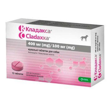 Упаковка Cladaxxa 500 мг &ndash; високоефективні жувальні антибактеріальні таблетки для собак та котів.