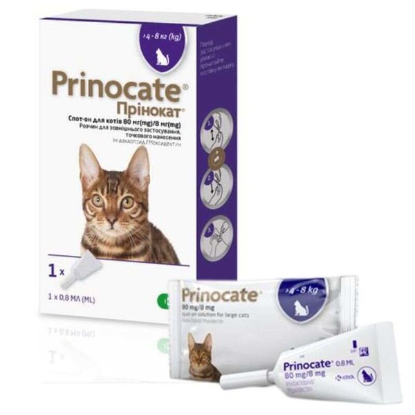 Упаковка крапель Prinocate Spot-On для котів 4-8 кг та окрема піпетка поруч