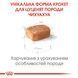 Royal Canin Chihuahua Puppy, 0,5кг 24380051 фото 2