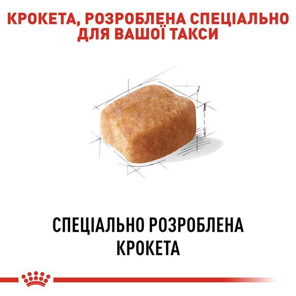 Royal Canin Dachshund Adult, 1,5кг 3059015 фото