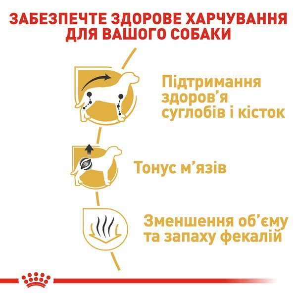 Royal Canin Dachshund Adult, 1,5кг 3059015 фото