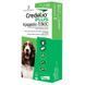 Купуй Credelio Plus Dog для собак 11&ndash;22 кг поштучно &mdash; ефективний захист від бліх, кліщів та глистів!