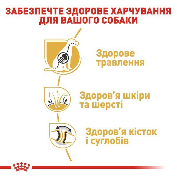 Royal Canin German Shepherd Adult, 11кг 2518110 фото Royal Canin German Shepherd Adult, 11кг 2518110 фото