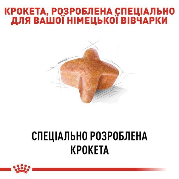 Royal Canin German Shepherd Adult, 11кг 2518110 фото Royal Canin German Shepherd Adult, 11кг 2518110 фото