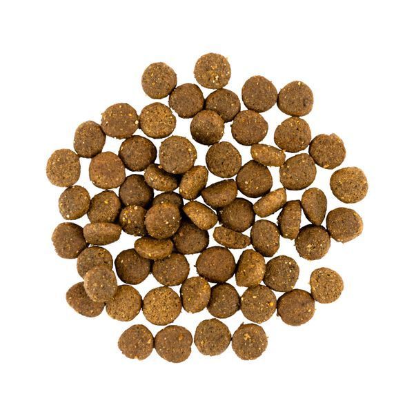 Savory Puppy Fresh Turkey & Chicken, 1кг 30280 фото