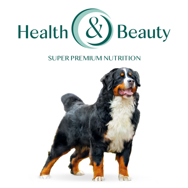 Optimeal Dog Adult Maxi with Chicken, 4кг 90555 фото
