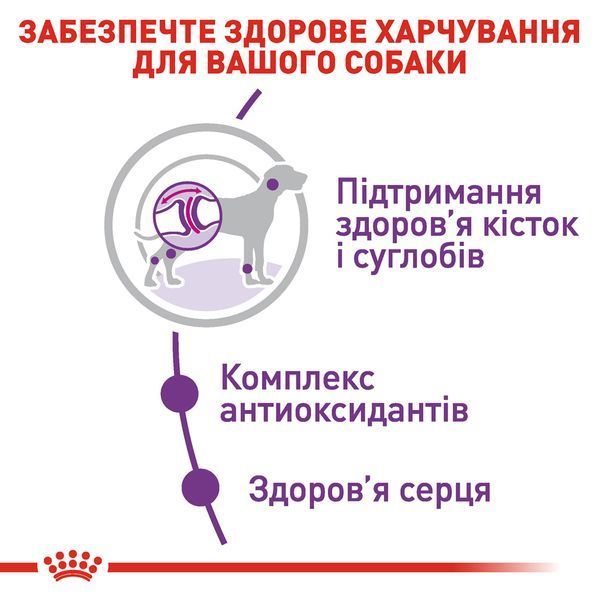 Royal Canin Giant Adult, 15кг 30091500 фото
