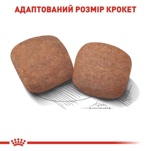 Royal Canin Giant Adult, 15кг 30091500 фото