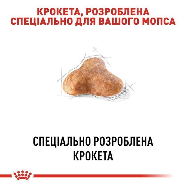 Royal Canin Pug Adult, 1,5кг 3985015 фото