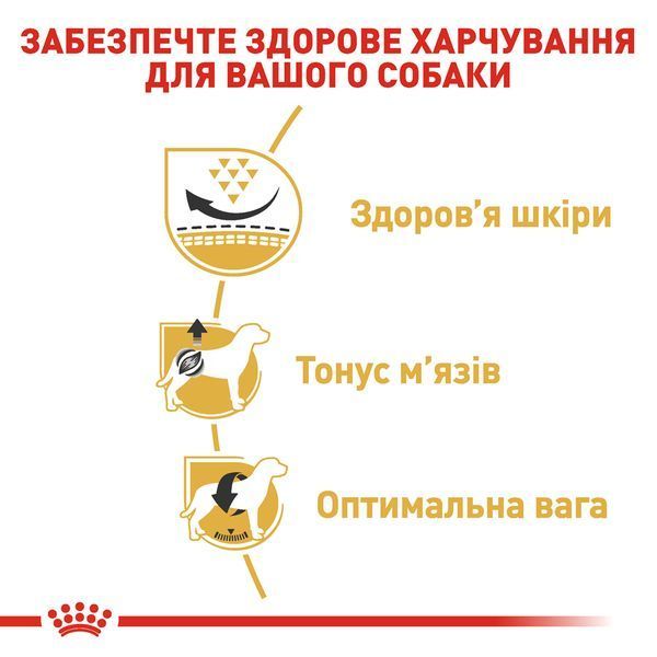 Royal Canin Pug Adult, 1,5кг 3985015 фото