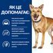 Hill's PD Canine I/D ActivBiome+ &mdash; заболевания ЖКТ, панкреатит, диарея, 1,5 кг 607642 фото 5