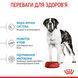 Royal Canin Giant Junior, 15кг 3031150 фото 2