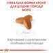 Royal Canin Pug Puppy, 1,5кг 41300151 фото 2