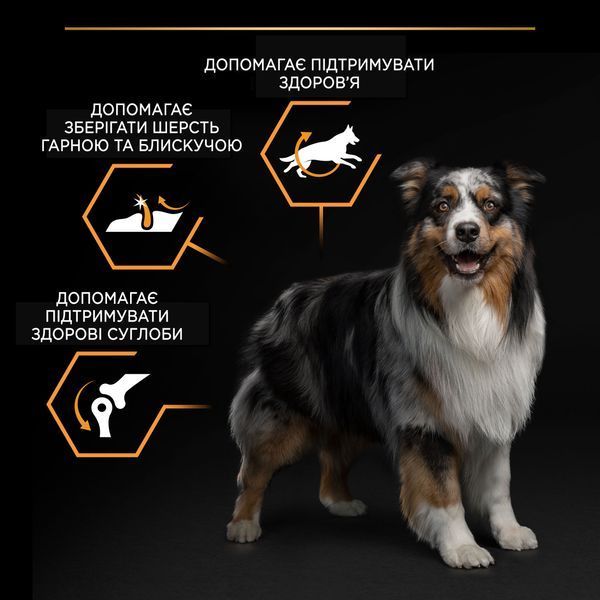 Pro Plan Dog Adult Medium Everyday Nutrion, 3кг 11480 фото