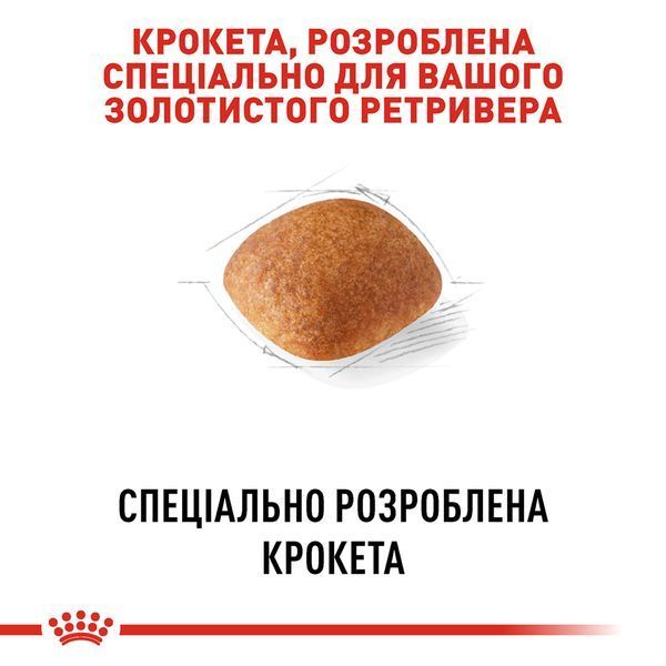 Royal Canin Golden Retriever Adult, 12кг 3970120 фото