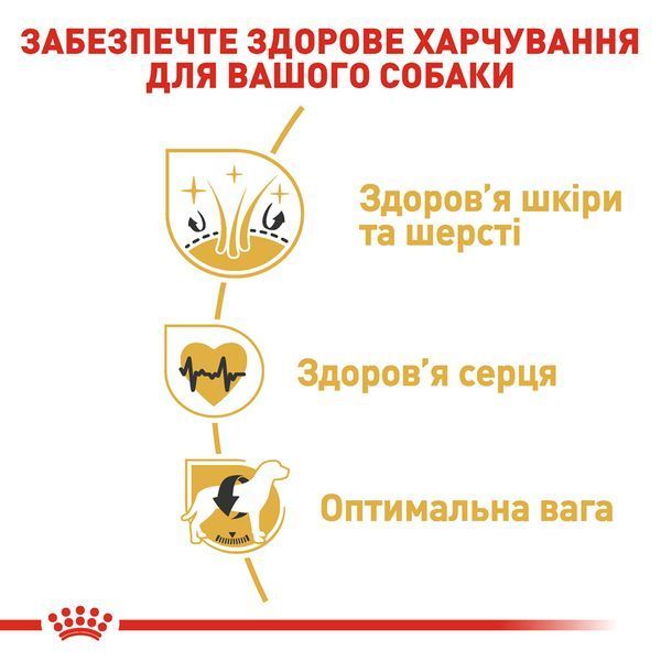 Royal Canin Golden Retriever Adult, 12кг 3970120 фото