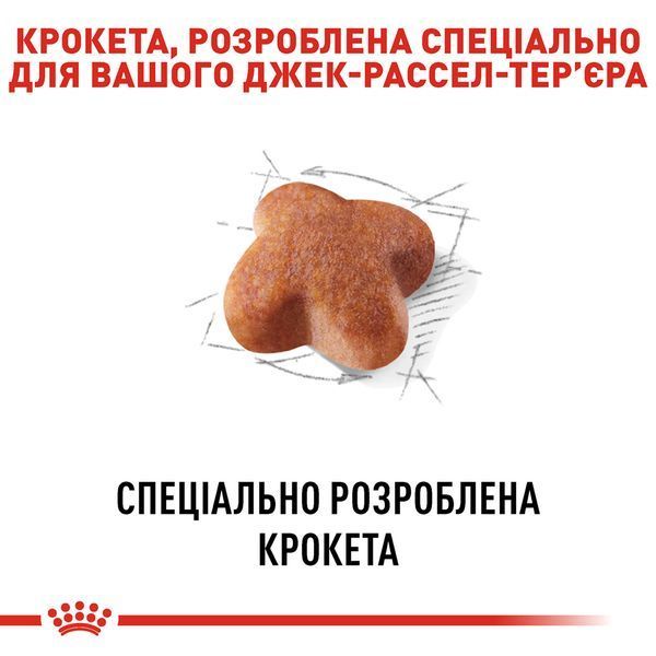 Royal Canin Jack Russel Adult, 1,5кг 21000159 фото
