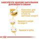 Royal Canin Jack Russel Adult, 1,5кг 21000159 фото 3