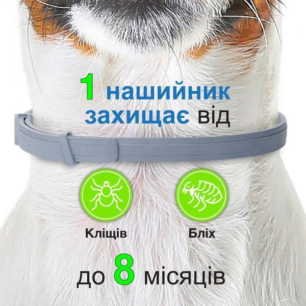 Крупний план нашийника Foresto by Elanco, S (38 см). Купуй зараз &mdash; захисти свого улюбленця!