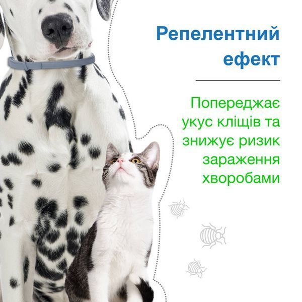 Логотип Foresto на нашийнику розміру S (38 см). Купуй якість &mdash; замовляй зараз!