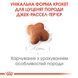 Royal Canin Jack Russel Puppy, 1,5кг 21010151 фото 2