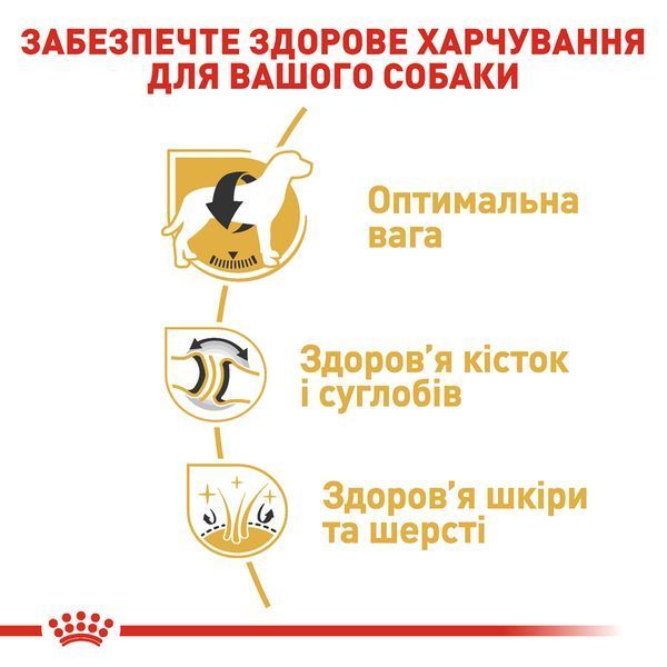 Royal Canin Labrador Adult, 12кг R355476 фото