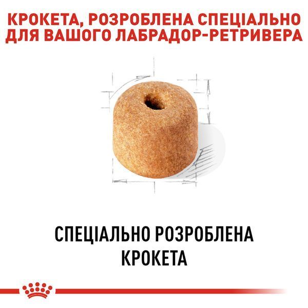 Royal Canin Labrador Adult, 12кг R355476 фото