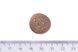 Brit Care Hypoallergenic Adult Large Breed Lamb, 1кг 172220 фото 4