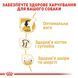 Royal Canin Labrador Adult, 12кг R355476 фото 3