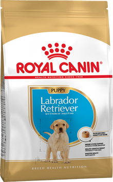 Royal Canin Labrador Puppy, 12кг 249112019 фото