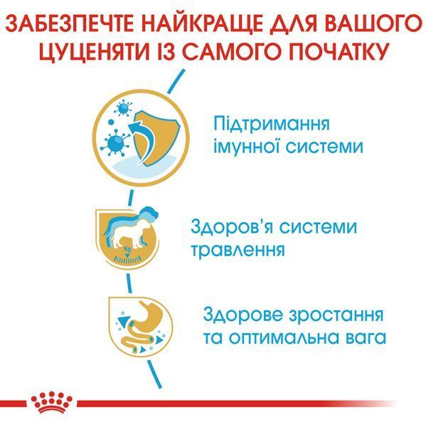 Royal Canin Labrador Puppy, 12кг 249112019 фото Royal Canin Labrador Puppy, 12кг 249112019 фото