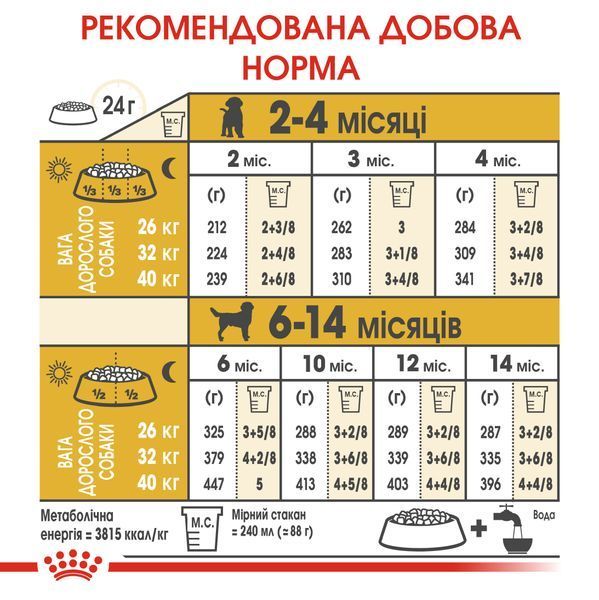 Royal Canin Labrador Puppy, 12кг 249112019 фото Royal Canin Labrador Puppy, 12кг 249112019 фото