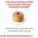 Royal Canin Labrador Puppy, 12кг 249112019 фото 2