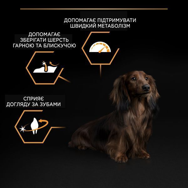Pro Plan Dog Adult Small & Mini Everyday Nutrion, 0,7кг 12077 фото