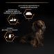 Pro Plan Dog Adult Small & Mini Everyday Nutrion, 0,7кг 12077 фото 2