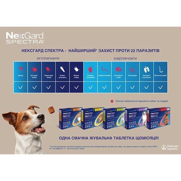 Жувальна таблетка NexGard Spectra для собак вагою від 1,35 до 3,5 кг. Зручне дозування та висока ефективність проти дирофіляріозу та кишкових гельмінтів. Надійний захист для улюбленця кожного місяця.
