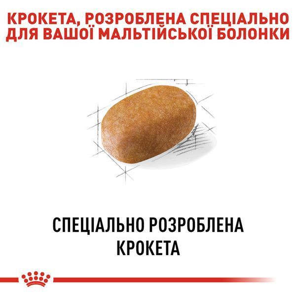 Royal Canin Maltese Adult, 0,5кг 3995005 фото