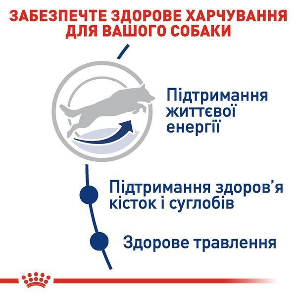 Royal Canin Maxi Adult 5+, 15кг 30081500 фото